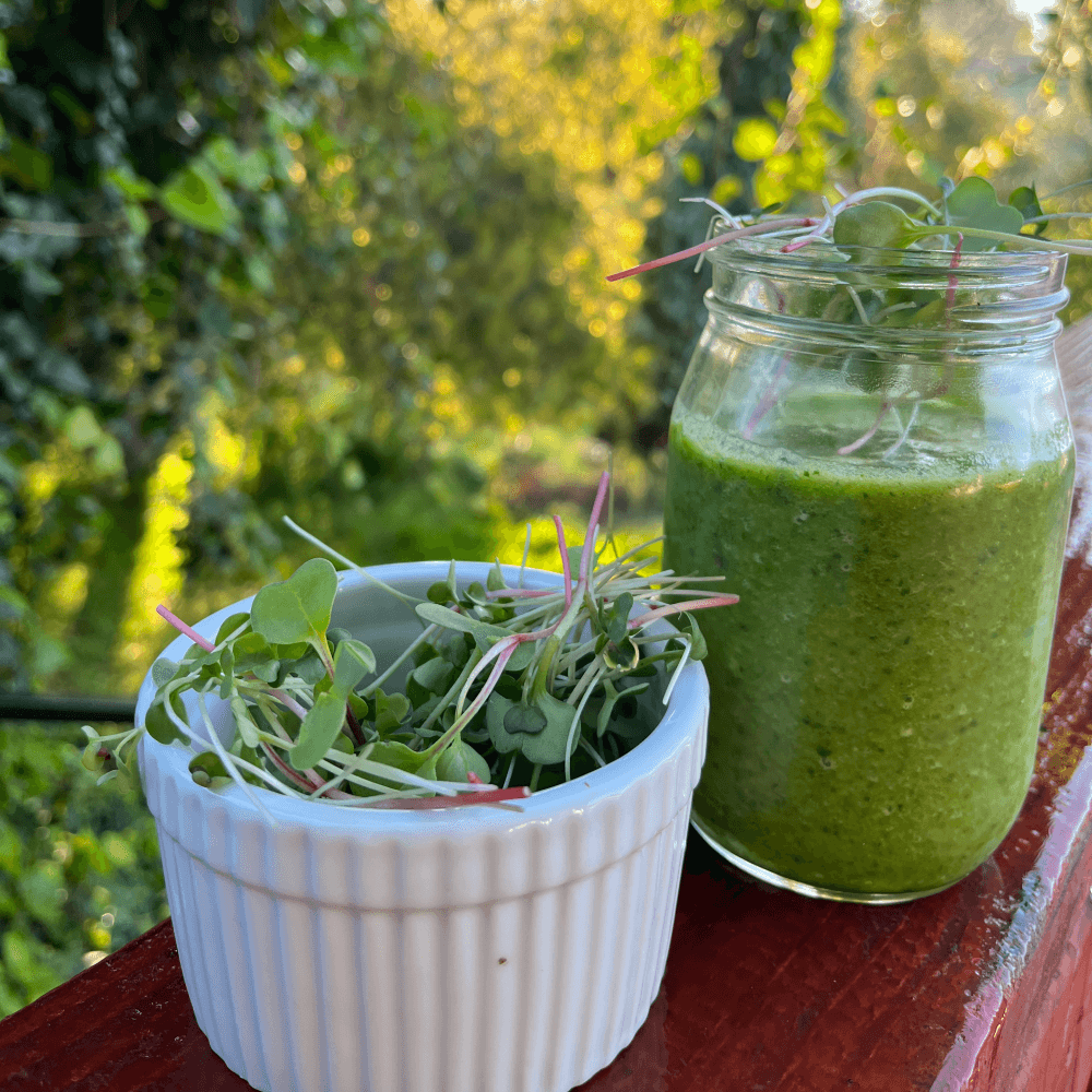 Green Summer Smoothie