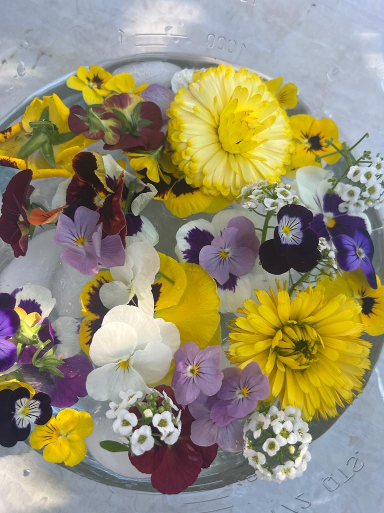 Edible Flowers