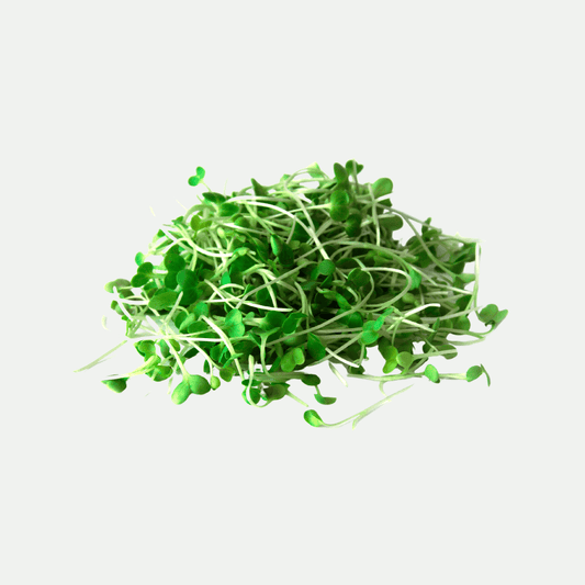 Arugula